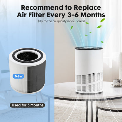 Home Air Purifiers